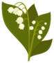 Twigs Of Close Up Lily Of The Valley Sticker