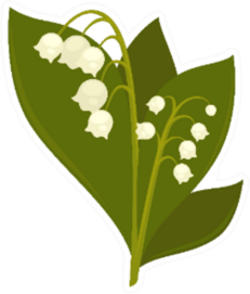 Twigs Of Close Up Lily Of The Valley Sticker