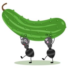 Two Ants Carrying A Fresh Green Cucumber Sticker
