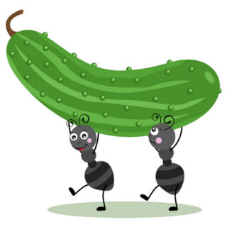Two Ants Carrying A Fresh Green Cucumber Sticker