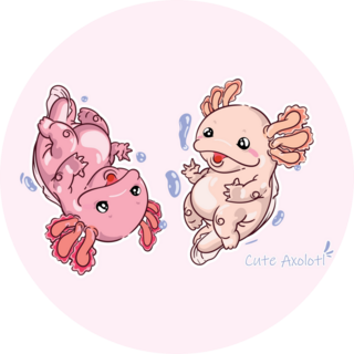 Two Axolotls In Bubbles Sticker
