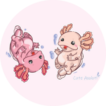 Two Axolotls In Bubbles Sticker