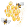 Two Bees And Honeycombs; Watercolor Sticker