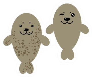 Two Brown Fur Seals On White Background Sticker