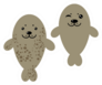 Two Brown Fur Seals On White Background Sticker
