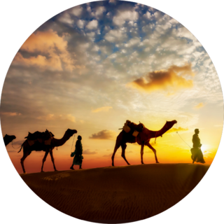 Two Cameleers With Camels Silhouettes Of Desert Sunset Sticker