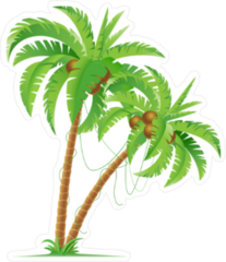 Two Coconut Palm Trees Sticker