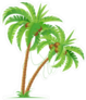 Two Coconut Palm Trees Sticker
