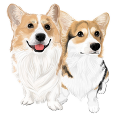 Two Corgi Puppies Lovely Sticker