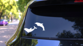 Two Cute Dolphins Sticker on a Rear Car Window (New) example