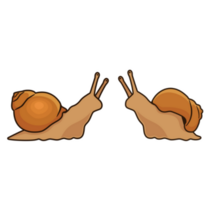 Two Cute Snails Sticker