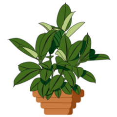 Two Different Green Colors Planted In Terracotta Pot Sticker