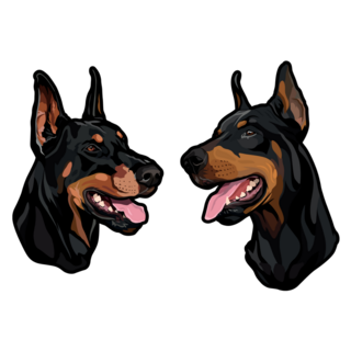 Two Dobermans Sticker 