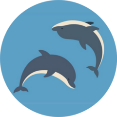 Two Dolphins Jumping Above Sticker