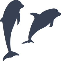 Two Dolphins Swimming Back Together Sticker