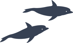 Two Dolphins Swimming Sticker