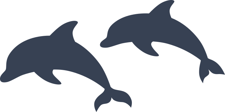 Two Dolphins Swimming Together Sticker