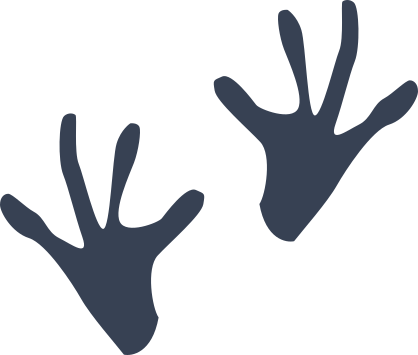 Two Frog Toad Footprints Sticker