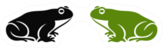 Two Frogs Logo Sticker