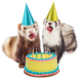 Two Funny Ferrets With Birthday Hats And Cake Sticker