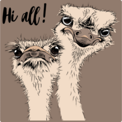 Two Funny Ostriches Friends Sticker