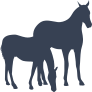 Two Horses Grazing Sticker