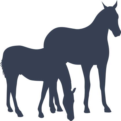 Two Horses Grazing Sticker