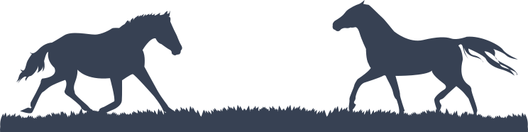 Two Horses On Plain Sticker