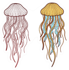Two Jellyfish Illustration Sticker