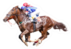 Two Jokey On A Thoroughbred Horse Runs Sticker