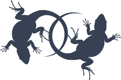 Two Lizard Geckos Sticker