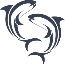 Two Lovely Dolphins Swimming Sticker