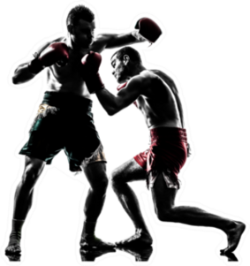 Two Men Exercising Thai Boxing In Silhouette Sticker