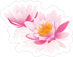 Two Pink Lotus Flower Sticker