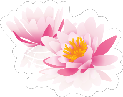 Two Pink Lotus Flower Sticker