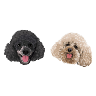 Two Poodle Dogs Sticker