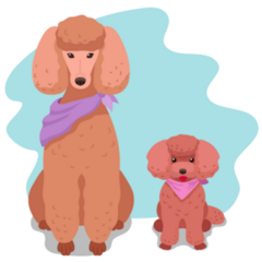 Two Poodles Sticker