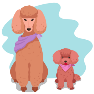 Two Poodles Sticker