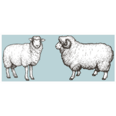 Two Ram Blue Smile Sticker