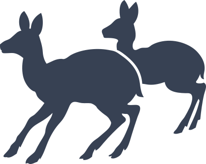 Two Scared Deer Sticker