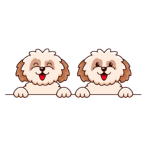 Two Shih Tzu Dogs Sticker