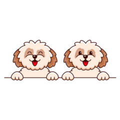 Two Shih Tzu Dogs Sticker