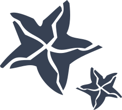 Two Starfishes Sticker