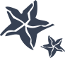 Two Starfishes Sticker