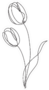 Two Tulip Flowers Continuous Line Drawing Sticker