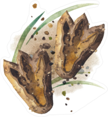 Two Watercolor Dinosaur Footprints Sticker