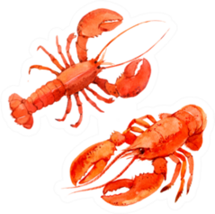 Two Watercolor Lobsters Sticker