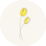 Two Yellow Tulips Flowers Line Drawing Sticker