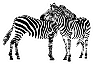 Two Zebras Standing Isolated On White Sticker