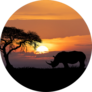 Typical African Scenery, Silhouette Of Rhinoceros Sticker